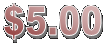 $5.00