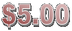 $5.00